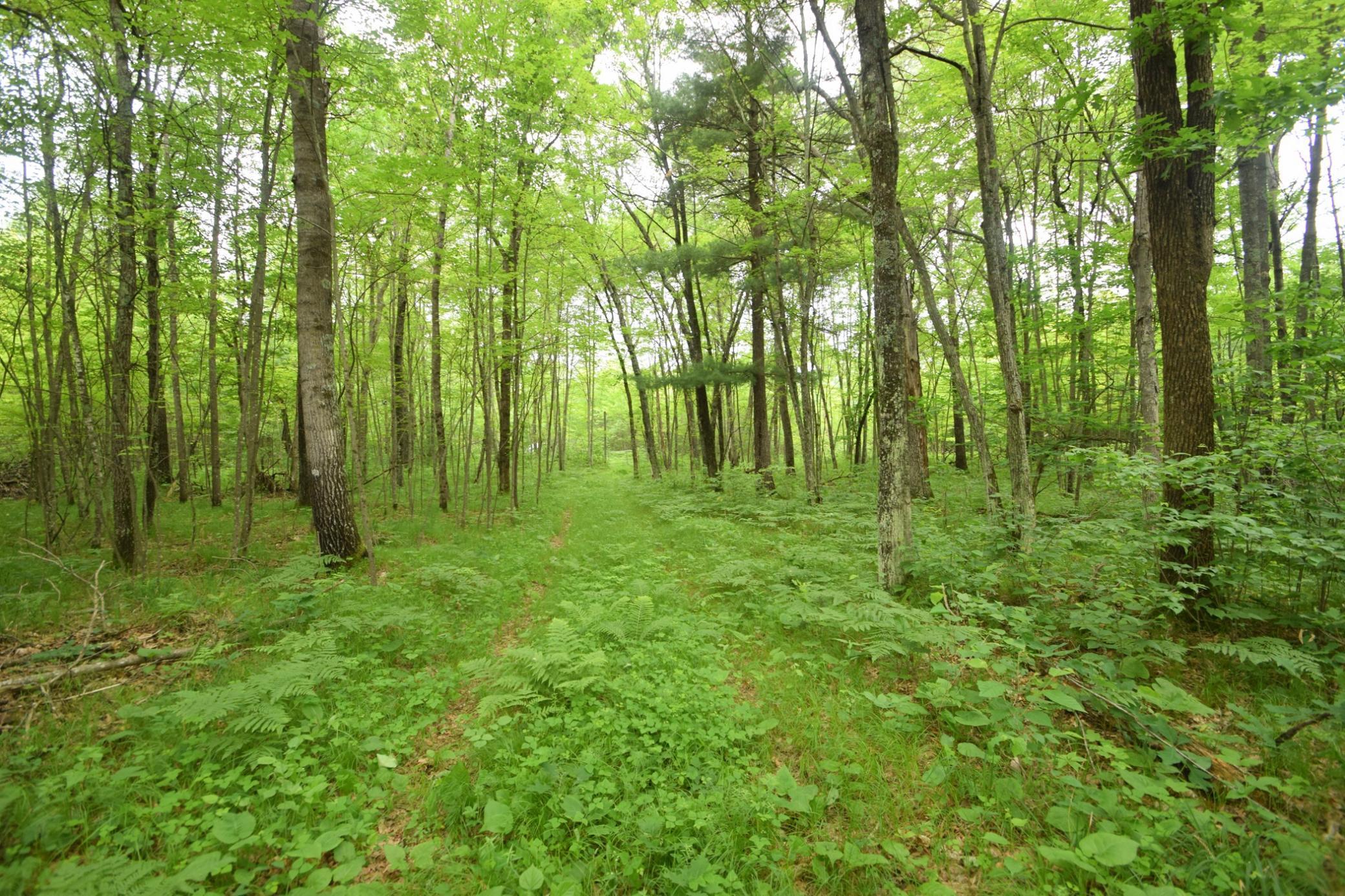 Tbd Helsene Road Webster, WI 54893 - Photo 16 of 28