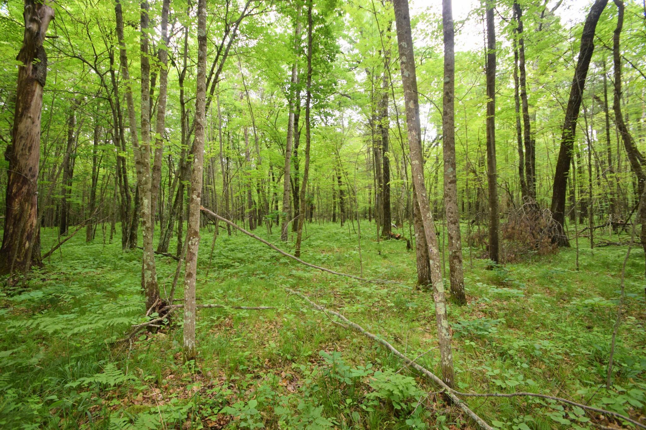 Tbd Helsene Road Webster, WI 54893 - Photo 19 of 28