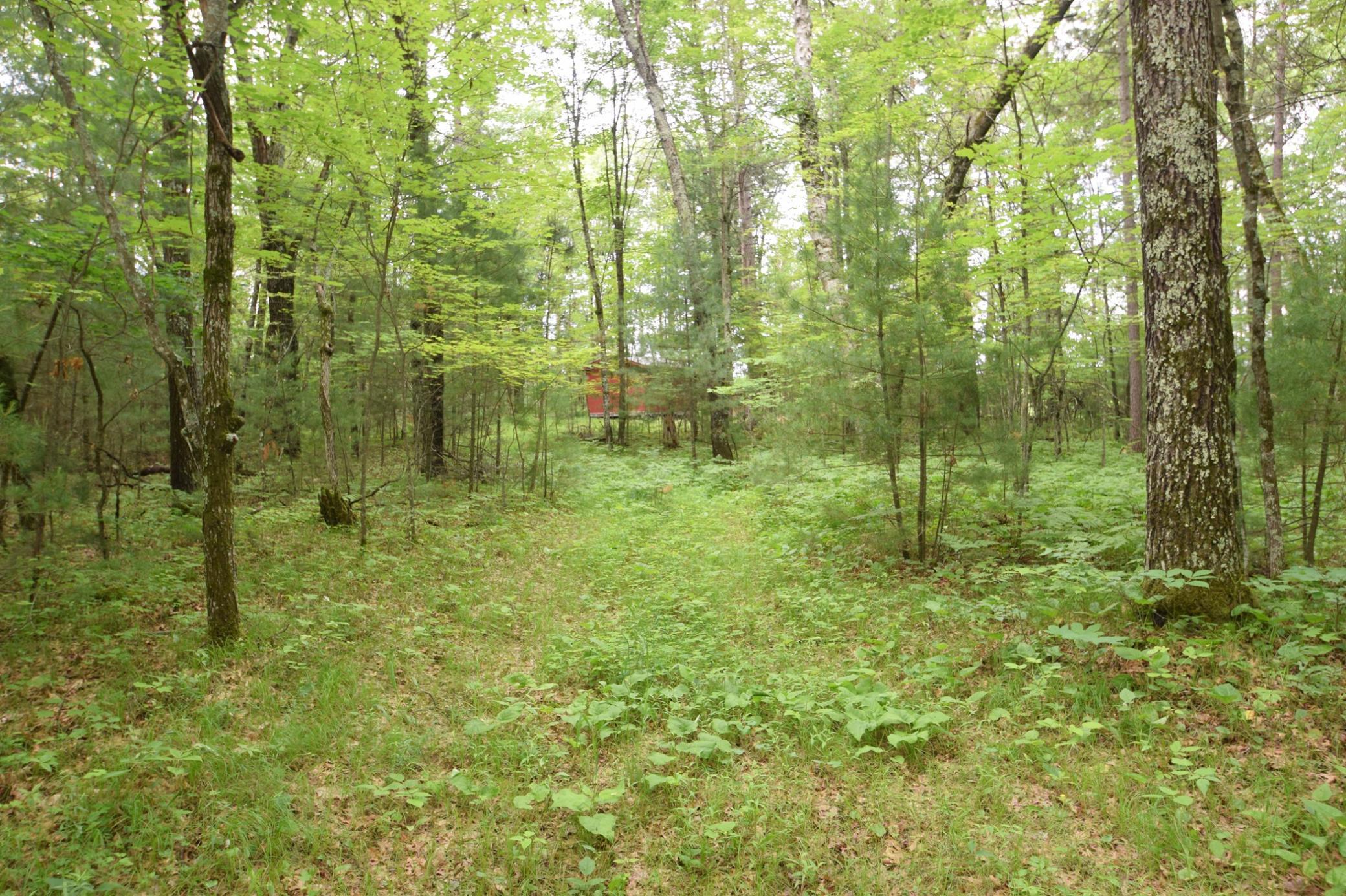 Tbd Helsene Road Webster, WI 54893 - Photo 2 of 28