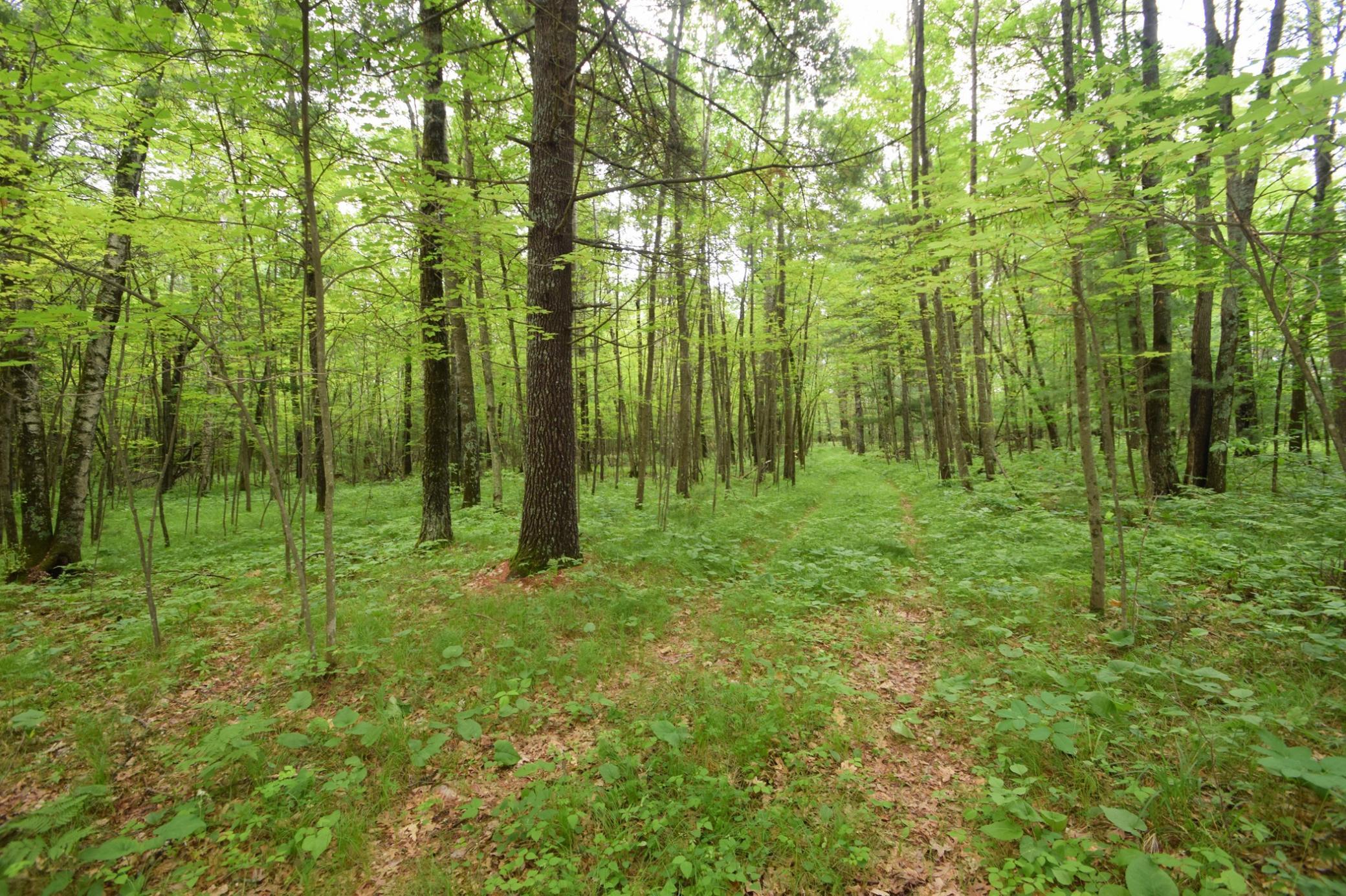 Tbd Helsene Road Webster, WI 54893 - Photo 21 of 28