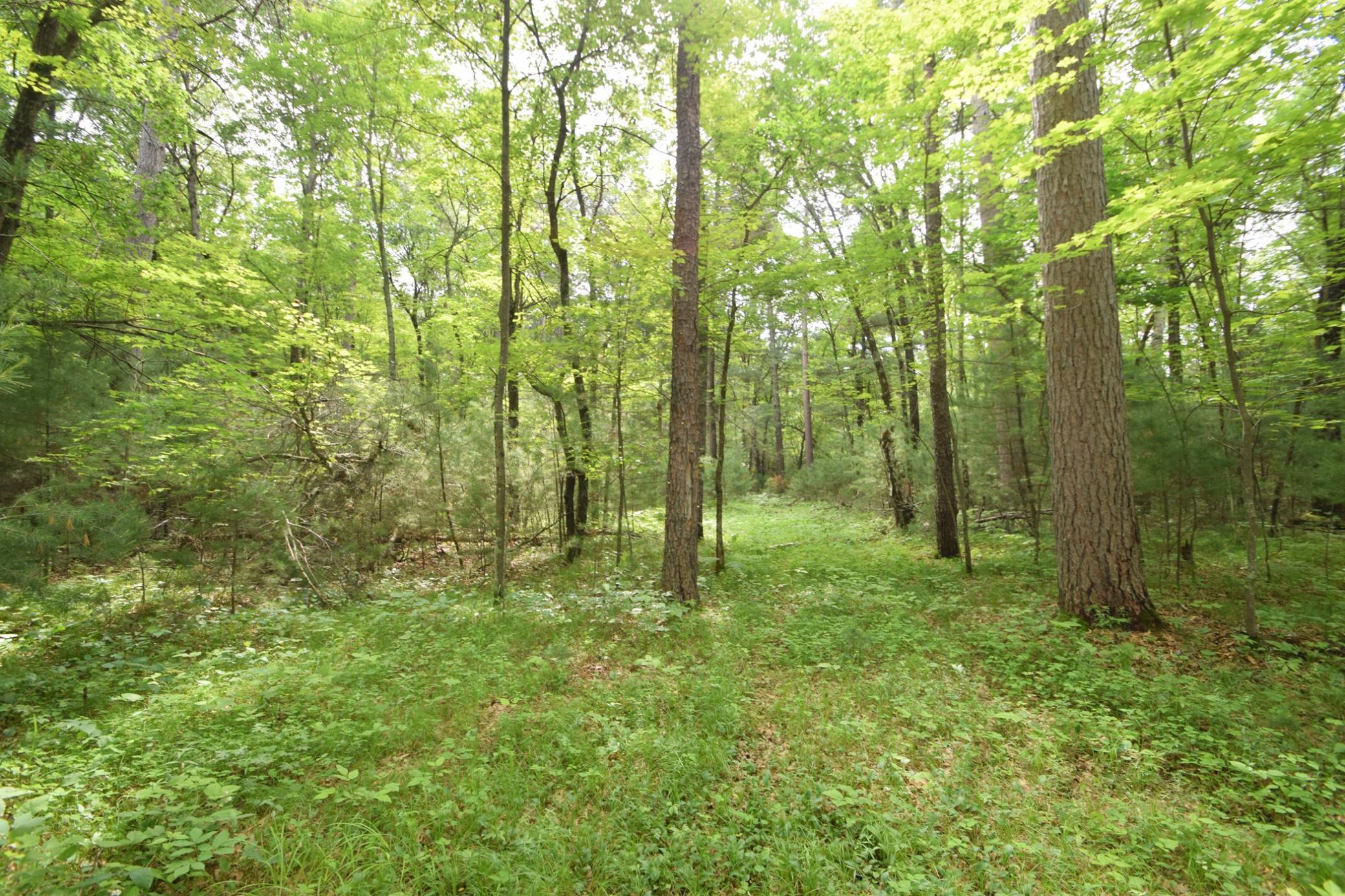 Tbd Helsene Road Webster, WI 54893 - Photo 22 of 28