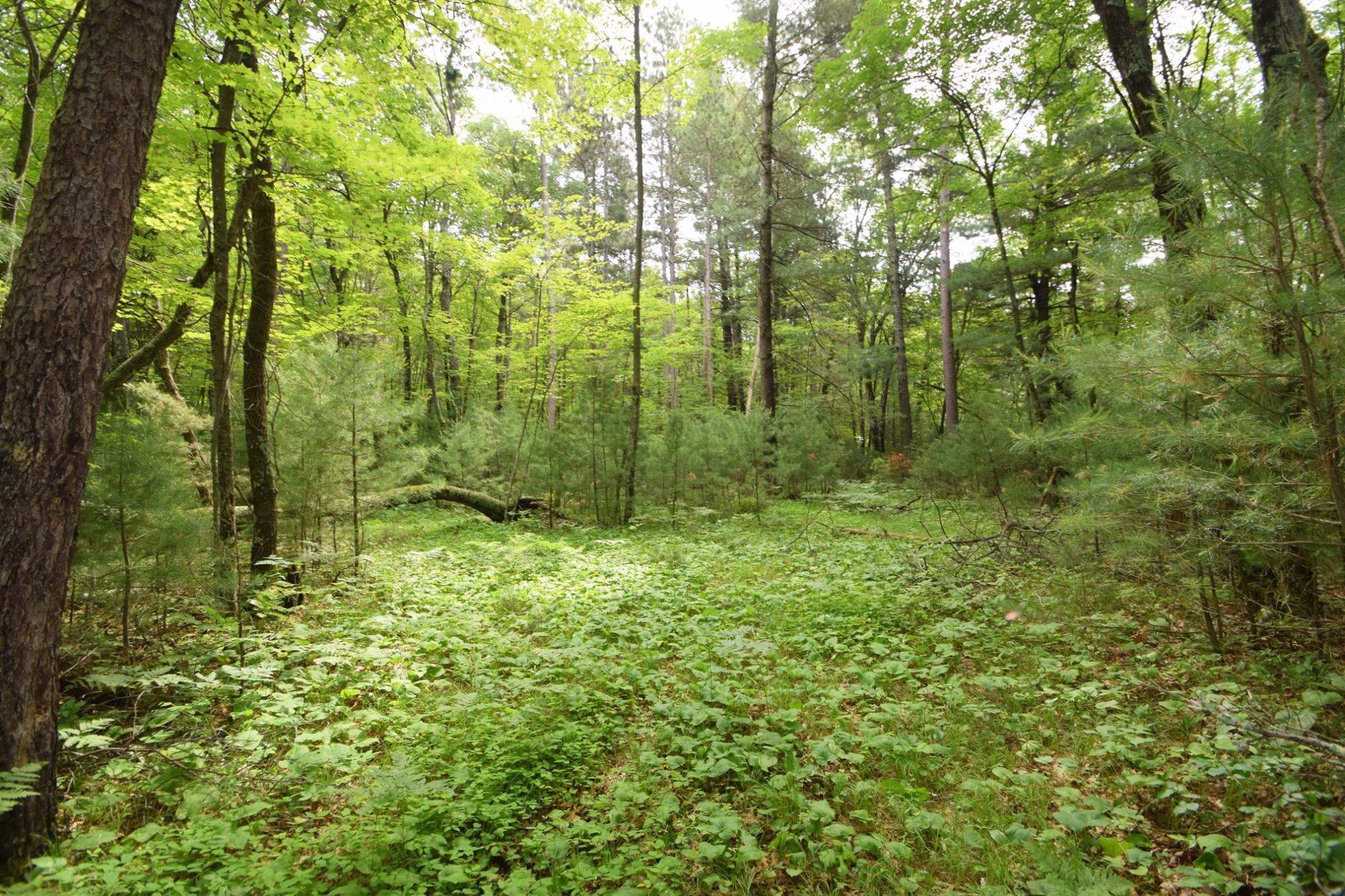 Tbd Helsene Road Webster, WI 54893 - Photo 23 of 28