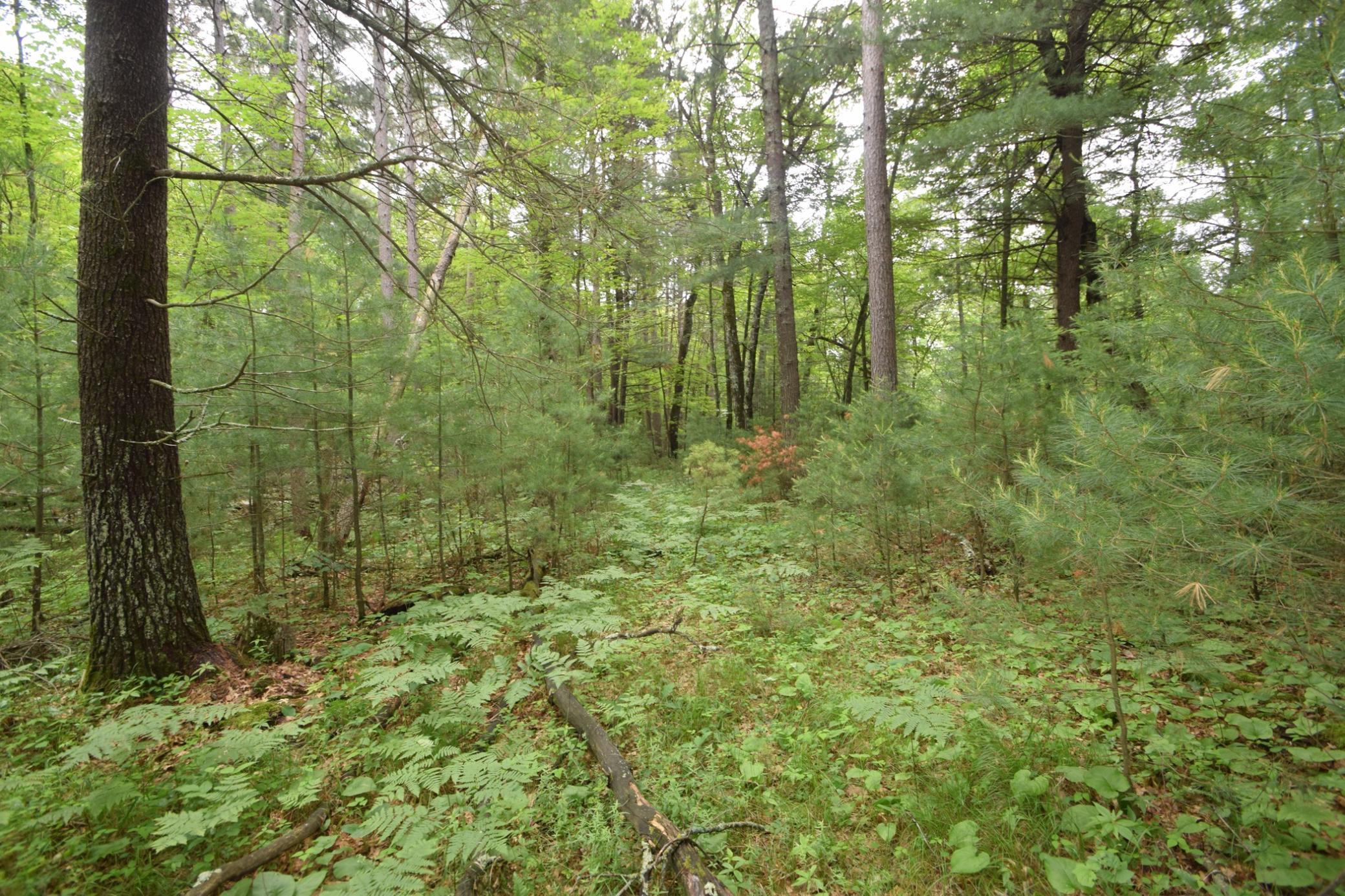 Tbd Helsene Road Webster, WI 54893 - Photo 24 of 28