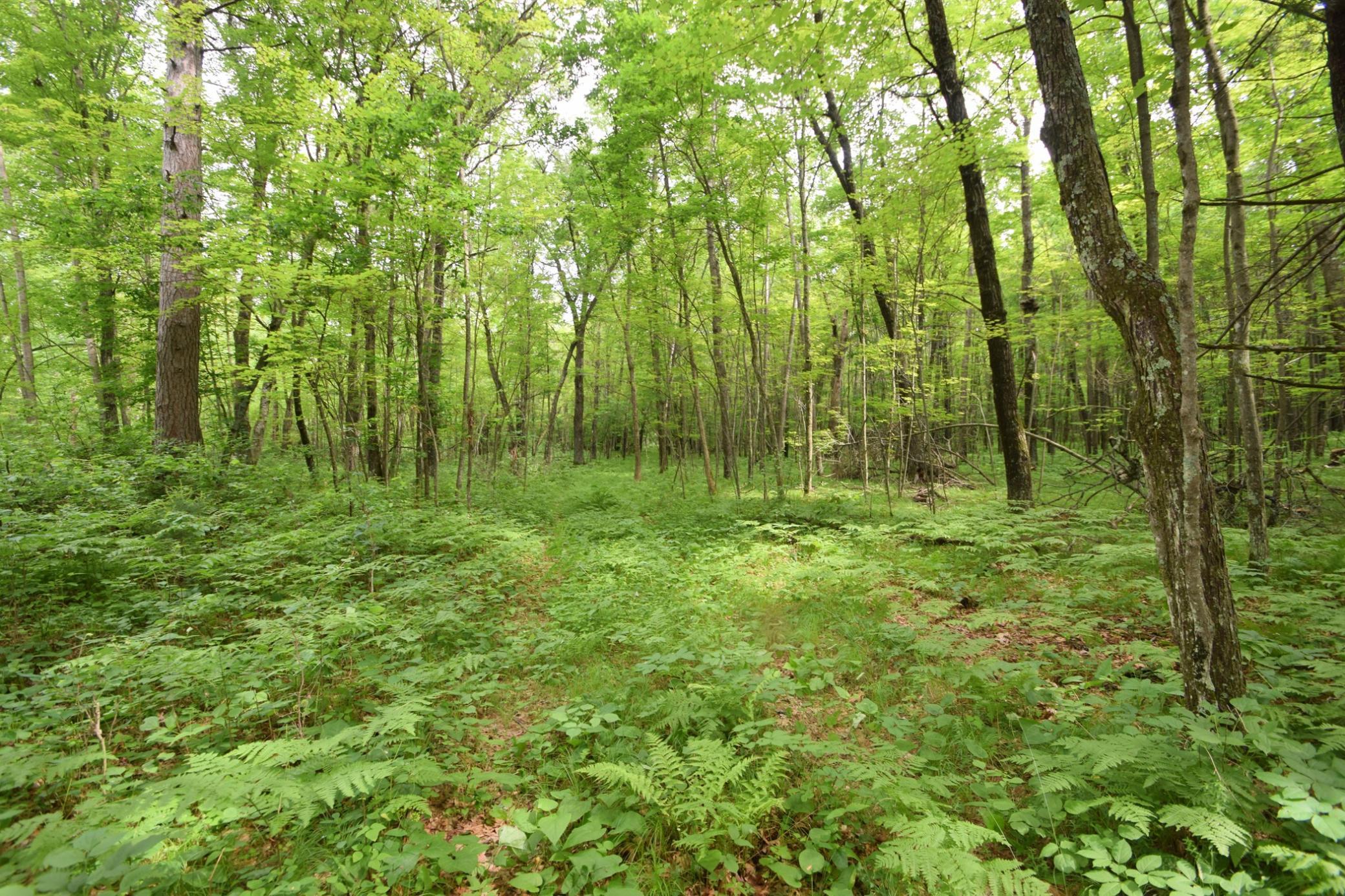 Tbd Helsene Road Webster, WI 54893 - Photo 25 of 28