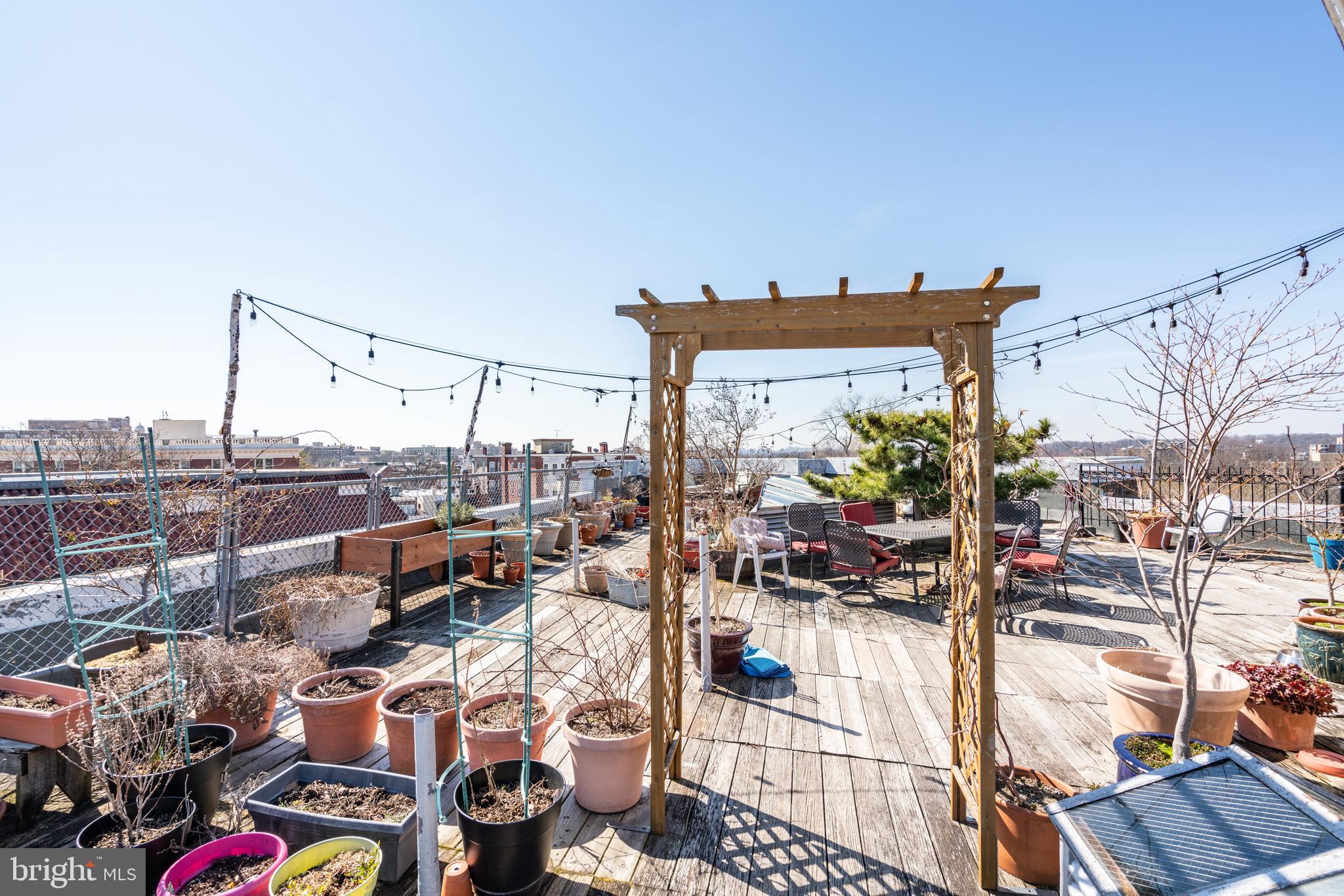 2707 Adams Mill Road Northwest, Unit 408 Washington, DC 20009 - Photo 15 of 21 Community rooftop garden