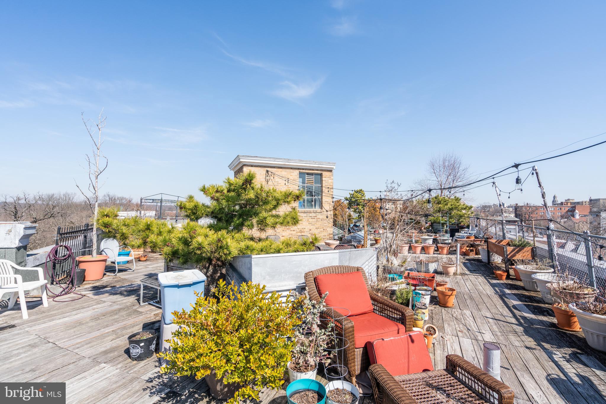 2707 Adams Mill Road Northwest, Unit 408 Washington, DC 20009 - Photo 17 of 21 Relax in the sun