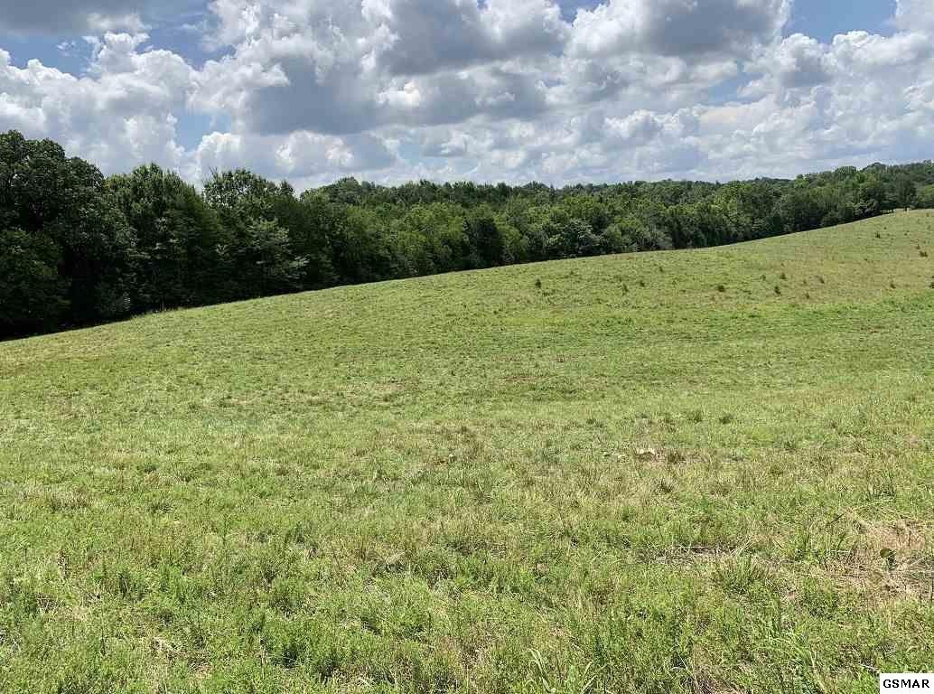 14 Herb Lane Newport, TN 37821 - Photo 6 of 7