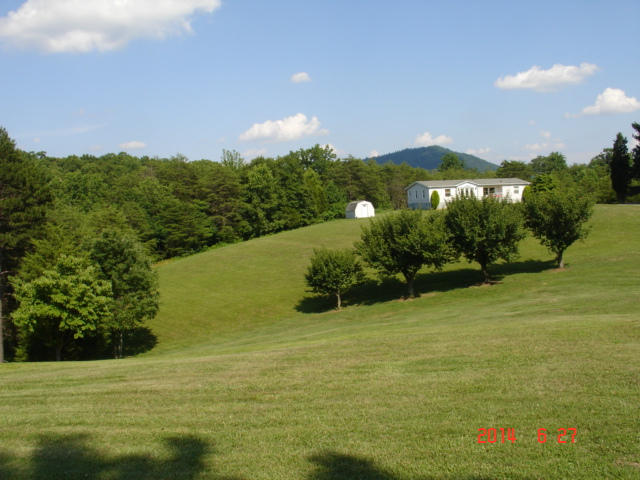 104 Ramblin Rose Road Vinton, VA 24179 - Photo 12 of 14 a view of a garden