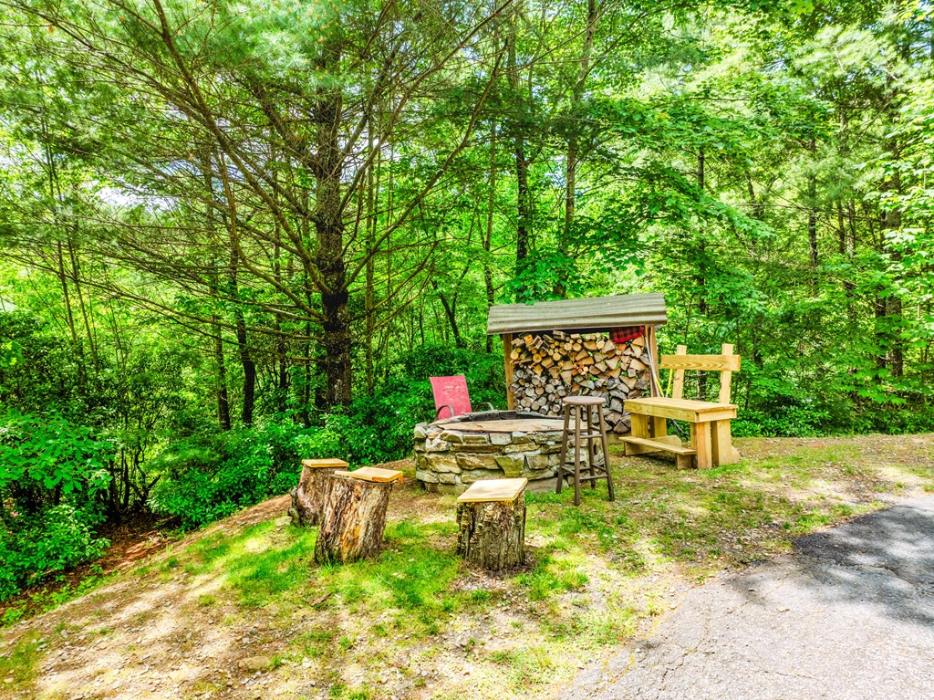 68 Lower Ridge Drive Murphy, NC 28906 - Photo 7 of 42