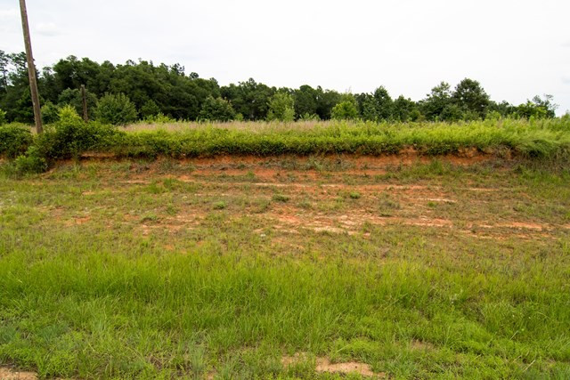 1067 Hadden Pond Road Waynesboro, GA 30830 - Photo 1 of 11 Main View