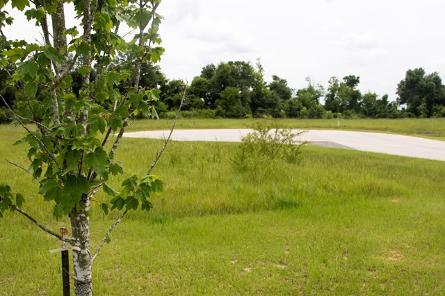 1067 Hadden Pond Road Waynesboro, GA 30830 - Photo 5 of 11 scenic neighborhood view