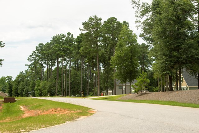 1067 Hadden Pond Road Waynesboro, GA 30830 - Photo 7 of 11 scenic neighborhood view