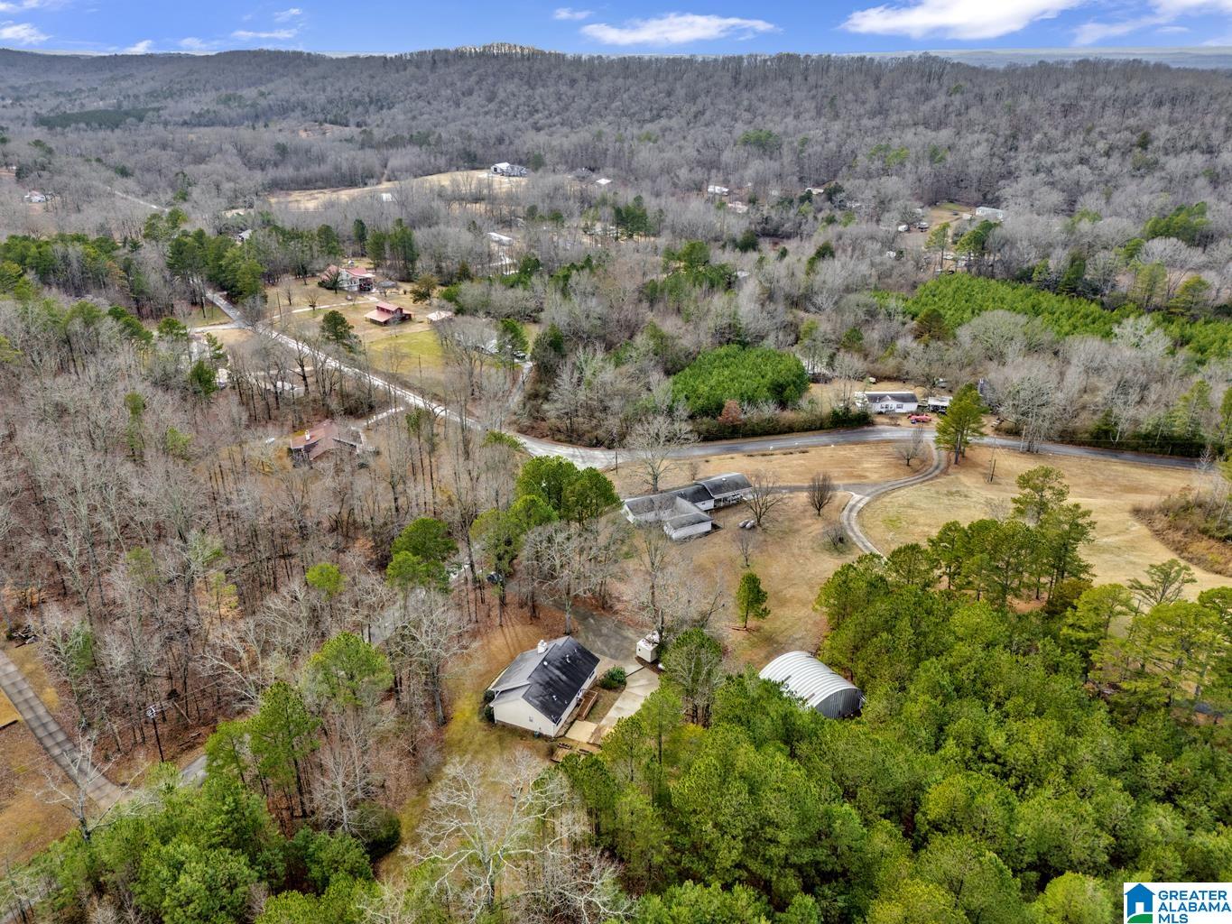 21 Easter Road Remlap, AL 35133 - Photo 42 of 45 Gallery Image 42
