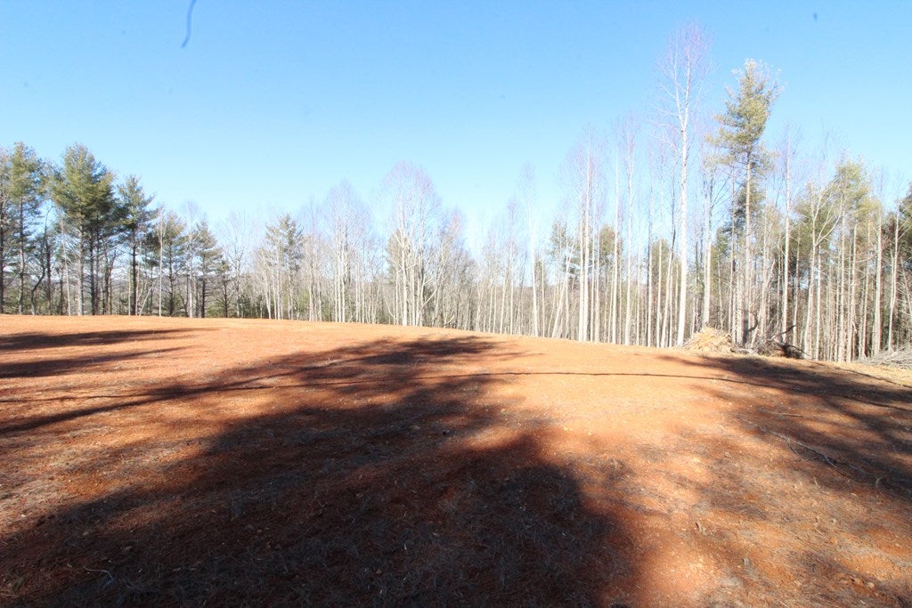 Tbd Ivanhoe Road, Unit 60A34 Fries, VA 24330 - Photo 40 of 45 Gallery Image 40