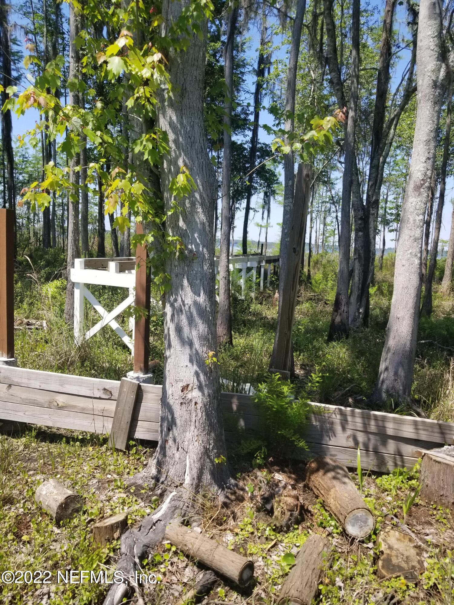8505 Southwest 137th Street Starke, FL 32091 - Photo 8 of 10 a view of a yard with plants and large trees
