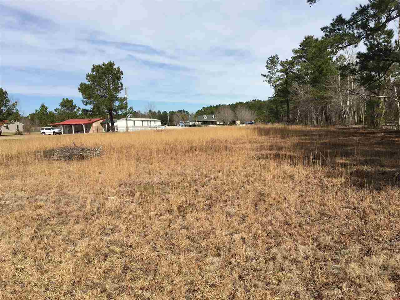 261 Choppe Road Hemingway, SC 29554 - Photo 3 of 5