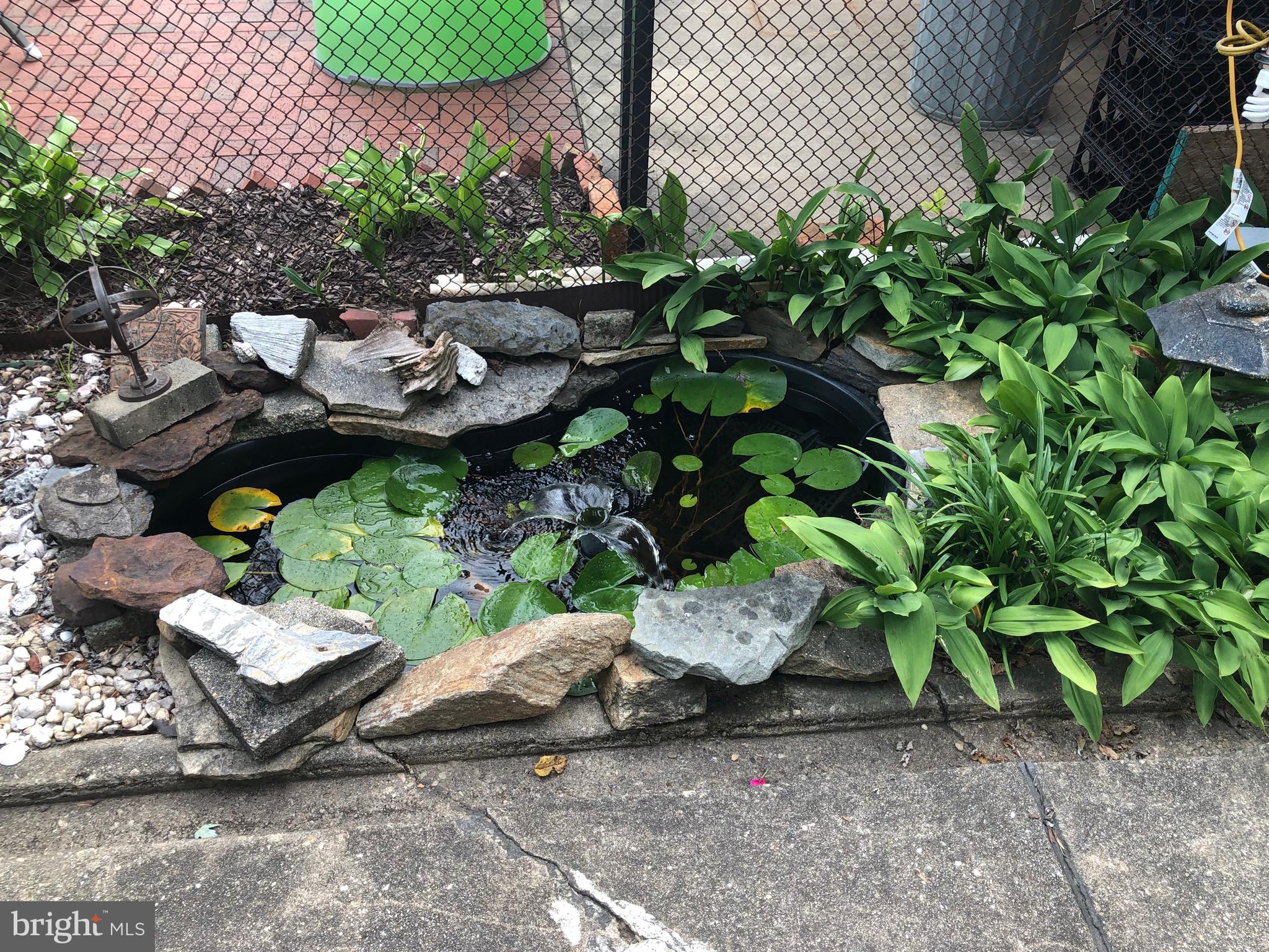 5711 Utrecht Road Baltimore, MD 21206 - Photo 32 of 35 Small pond in garden area
