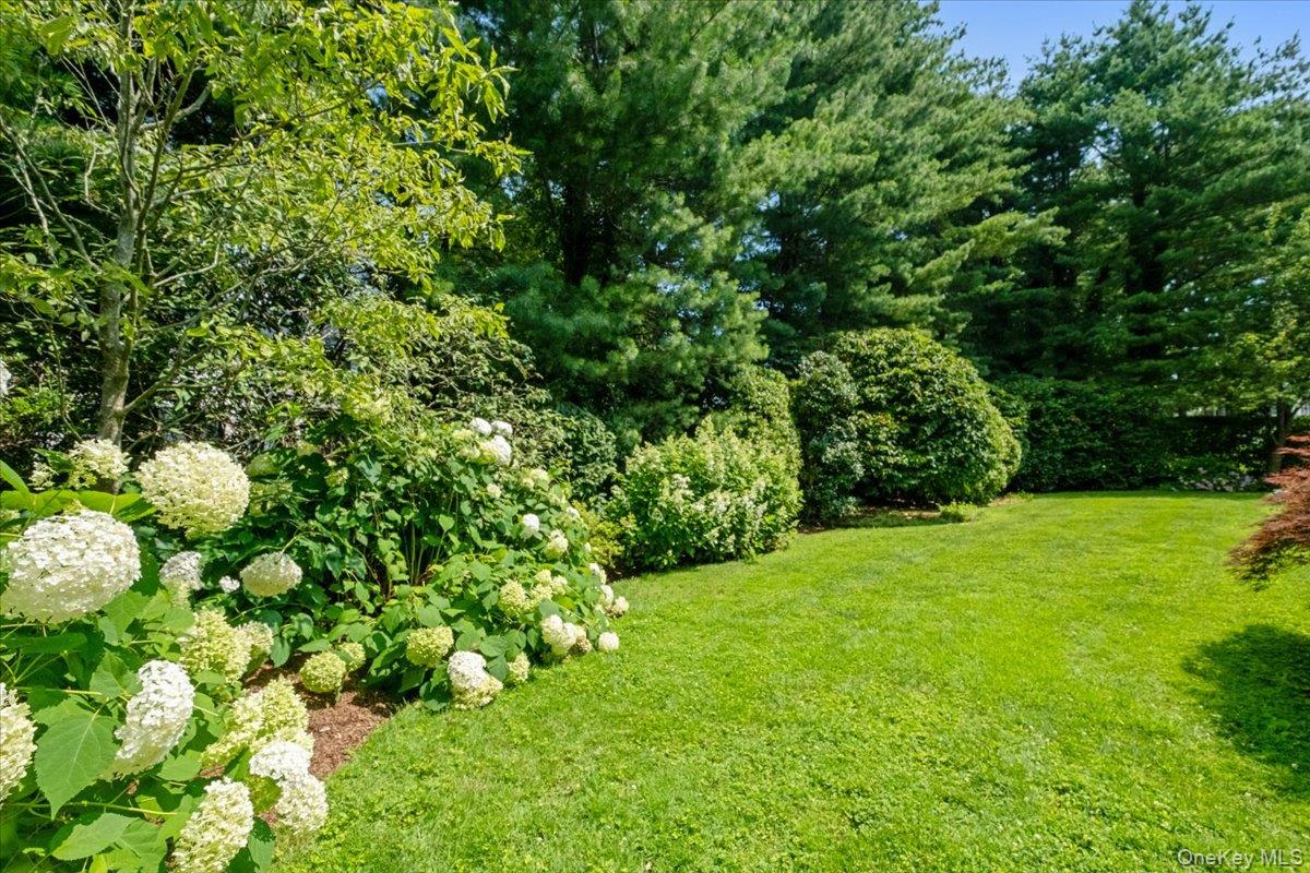 21 Orchard Road Larchmont, NY 10538 - Photo 41 of 48