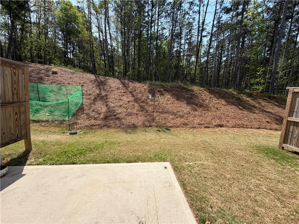716 Vallin Street Cumming, GA 30041 - Photo 21 of 24