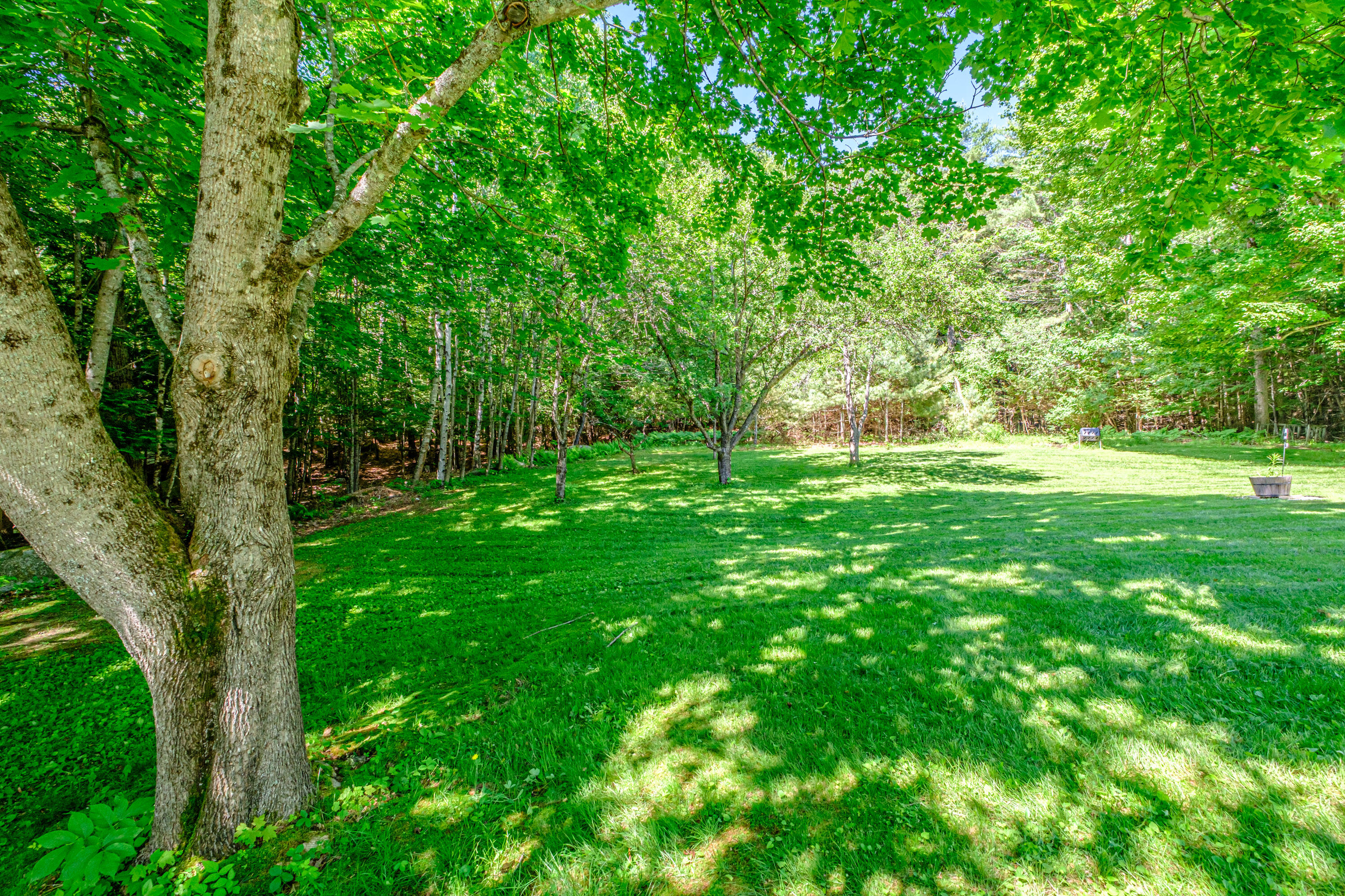 23 Perkins Road Mechanic Falls, ME 04256 - Photo 49 of 61 20260616gp-60055