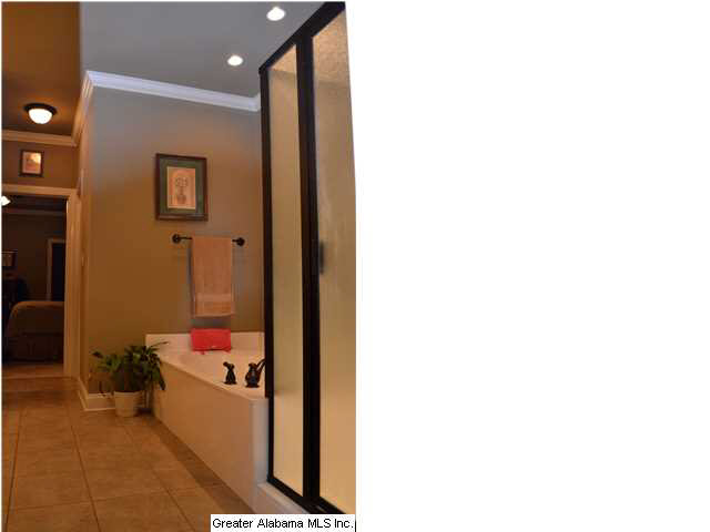 2805 Aster Lake Road Helena, AL 35022 - Photo 13 of 29
