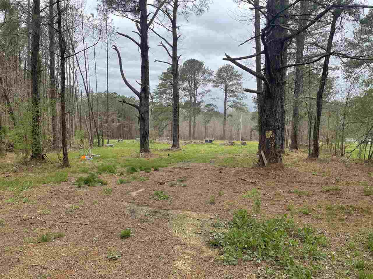 1912 Barnes Road Canton, MS 39046 - Photo 3 of 12 Photo 3