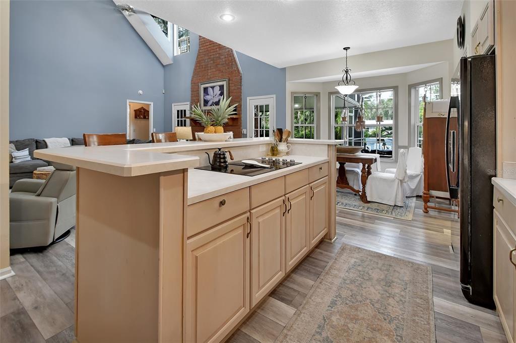 2236 River Ridge Road DeLand, FL 32720 - Photo 17 of 84