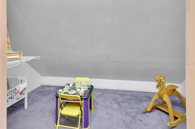 a view of a garden with plants