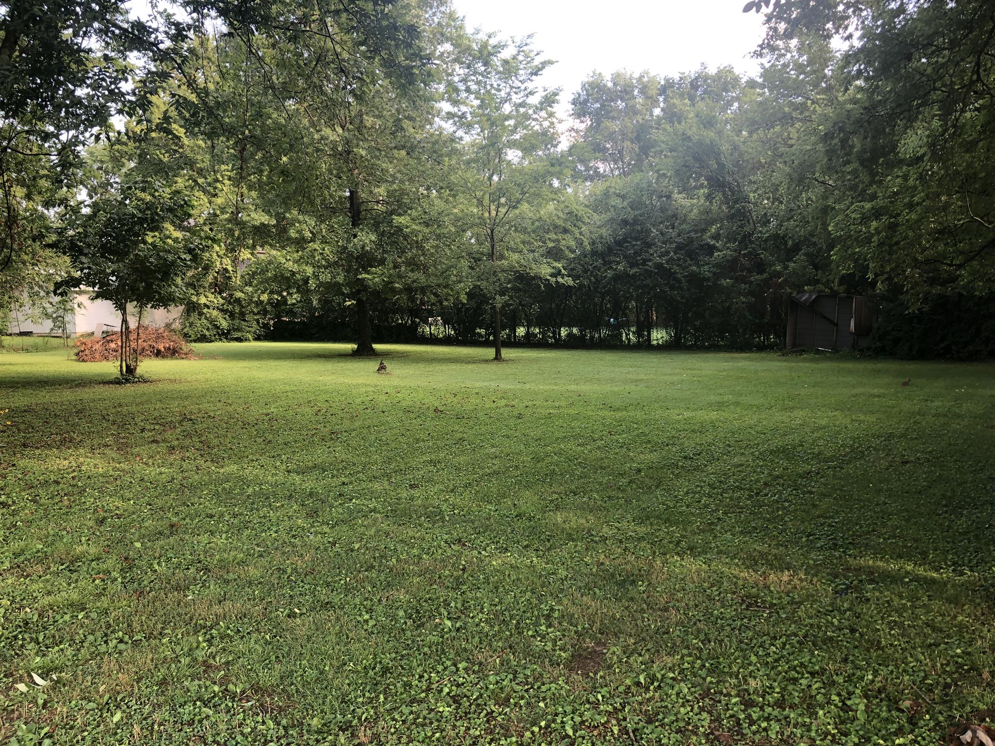 313 West Spring Street Lebanon, TN 37087 - Photo 3 of 17 Gallery Image 3