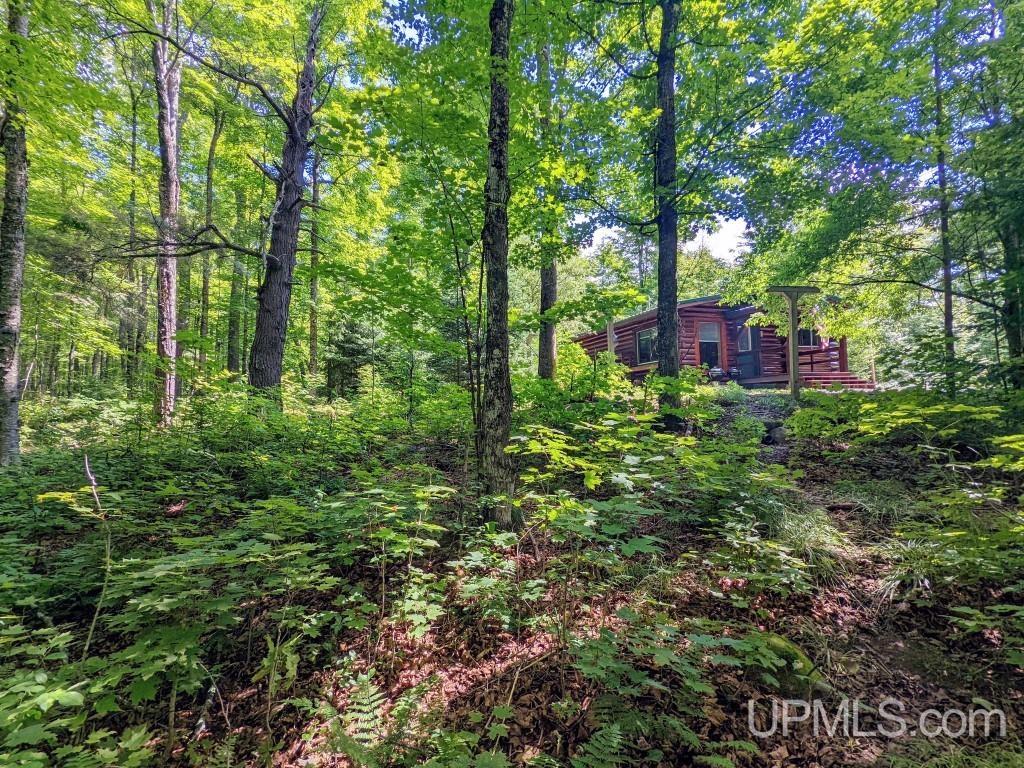 413 University Road Iron River, MI 49935 - Photo 23 of 24 Gallery Image 23