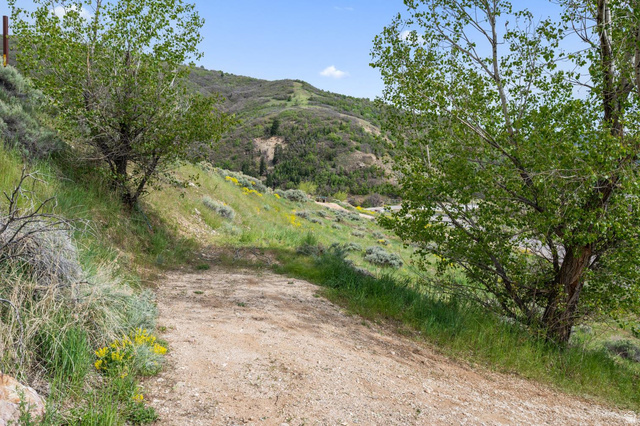 708 Eagle Rdg Drive Bountiful, UT 84010 - Photo 65 of 69 Natural terrain with a dirt path, surrounded by mature trees and varied shrubbery