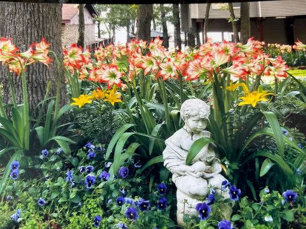 $574,900 | 20848 Bay Shore Drive, Flint, TX 75762