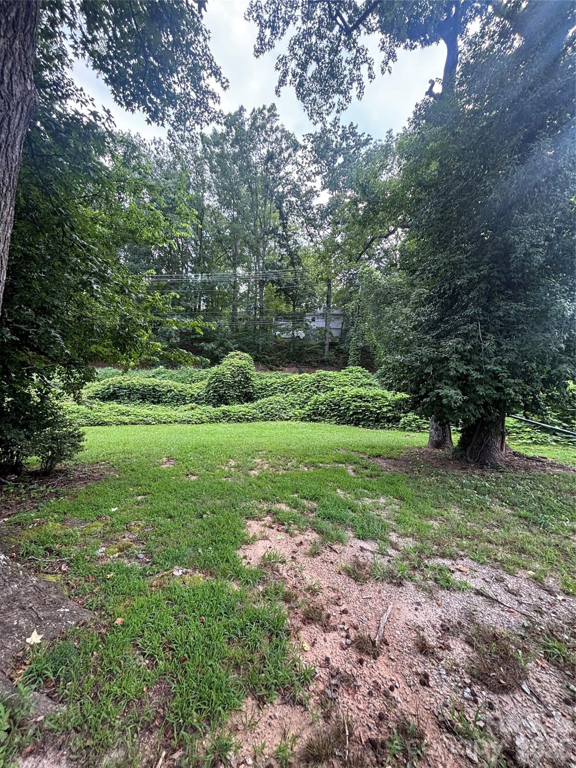 40 Beaver Street Tryon, NC 28782 - Photo 16 of 16 Gallery Image 16