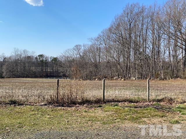 871 Halifax Road Roxboro, NC 27573 - Photo 45 of 45 a view of a yard with trees