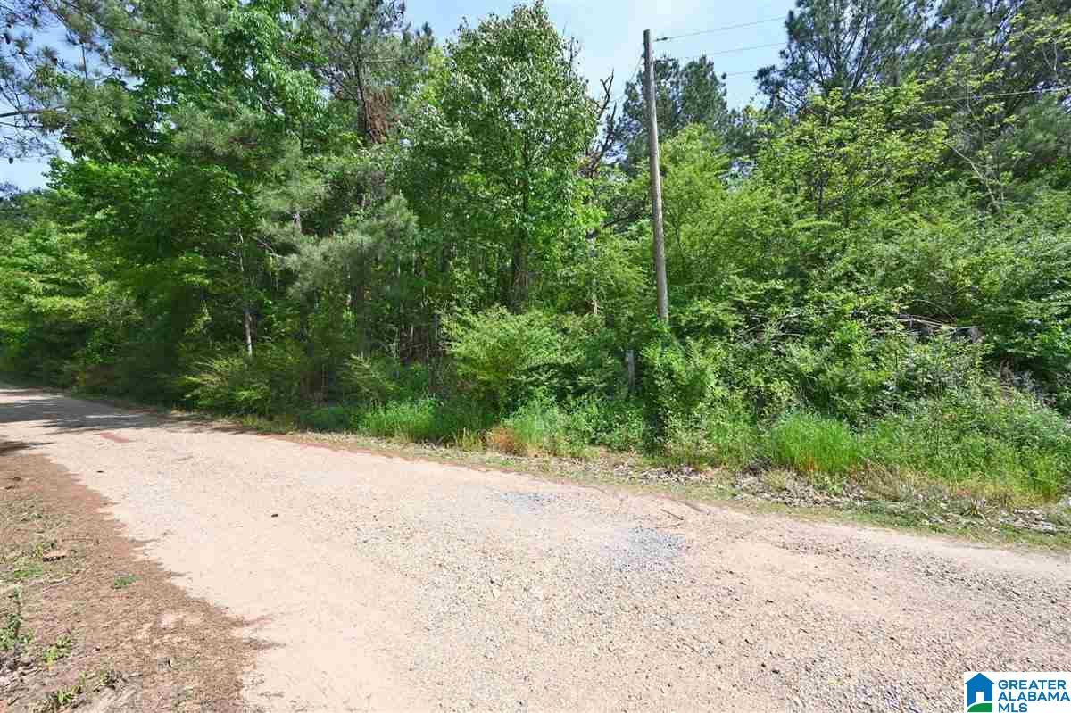0 Helicon Road Arley, AL 35541 - Photo 3 of 6