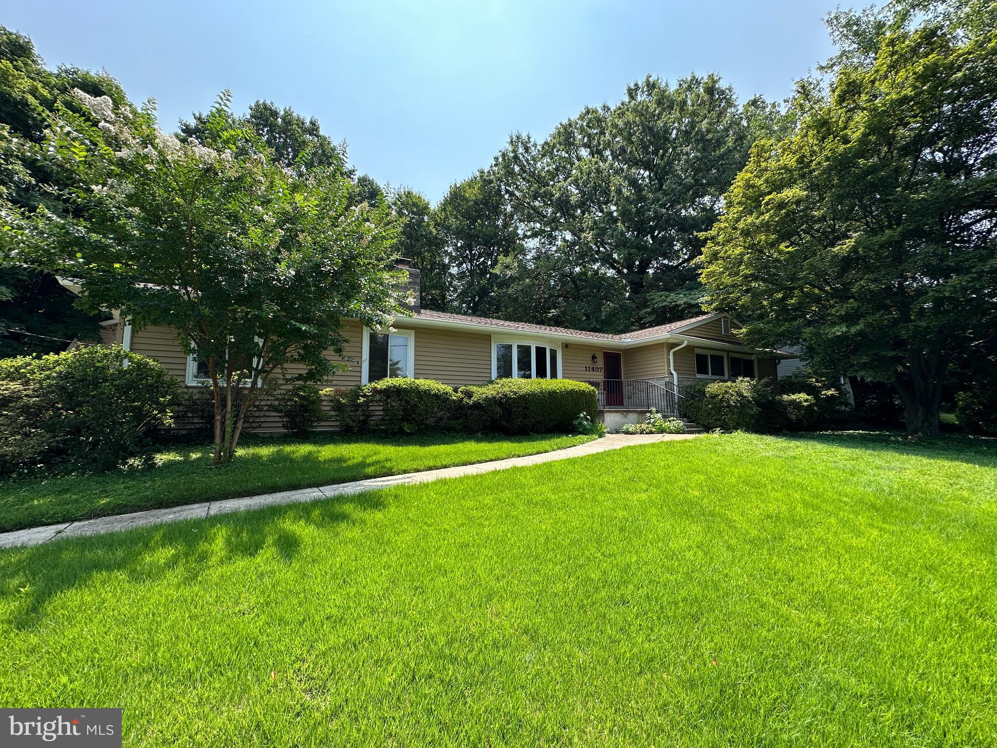11407 Norris Drive Silver Spring, MD 20902 - Photo 2 of 37 Lovely walkway to the front door