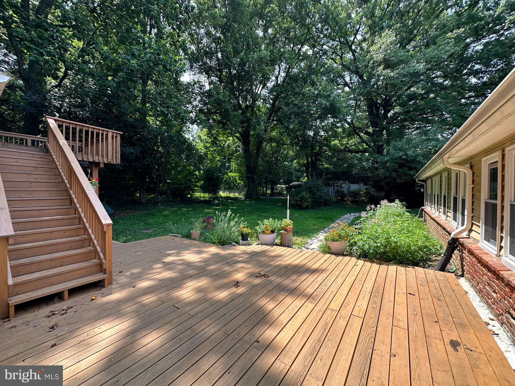 11407 Norris Drive Silver Spring, MD 20902 - Photo 29 of 37 Two decks and private backyard