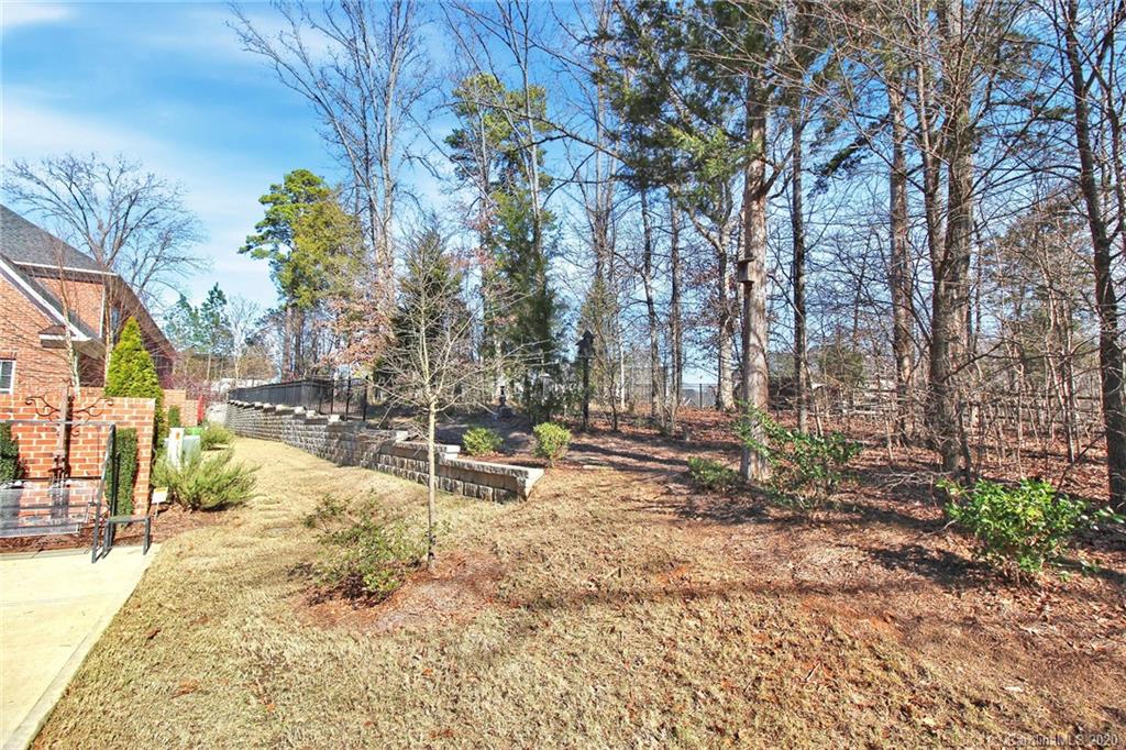 911 Ospre Lane Fort Mill, SC 29708 - Photo 43 of 45 a view of a yard with trees