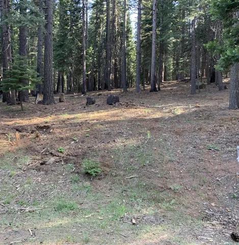 a view of outdoor space with trees