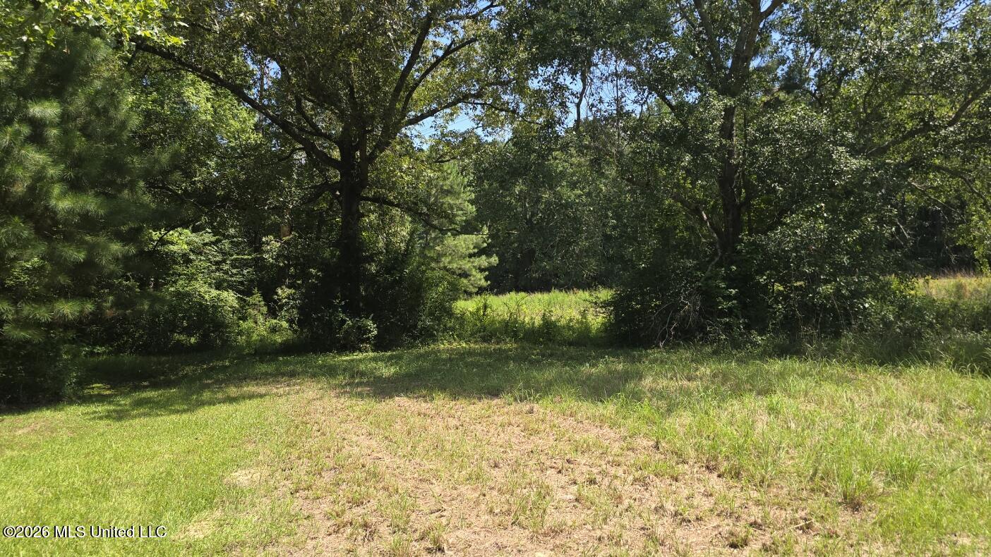 3995 Choctaw Road Brookhaven, MS 39601 - Photo 11 of 73 20260709_112534