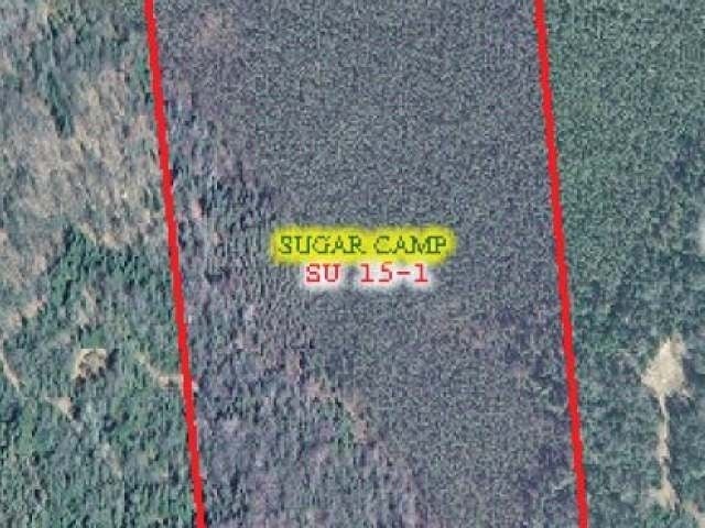 Near Mill Lake Road Rhinelander, WI 54501 - Photo 5 of 5 Gallery Image 5