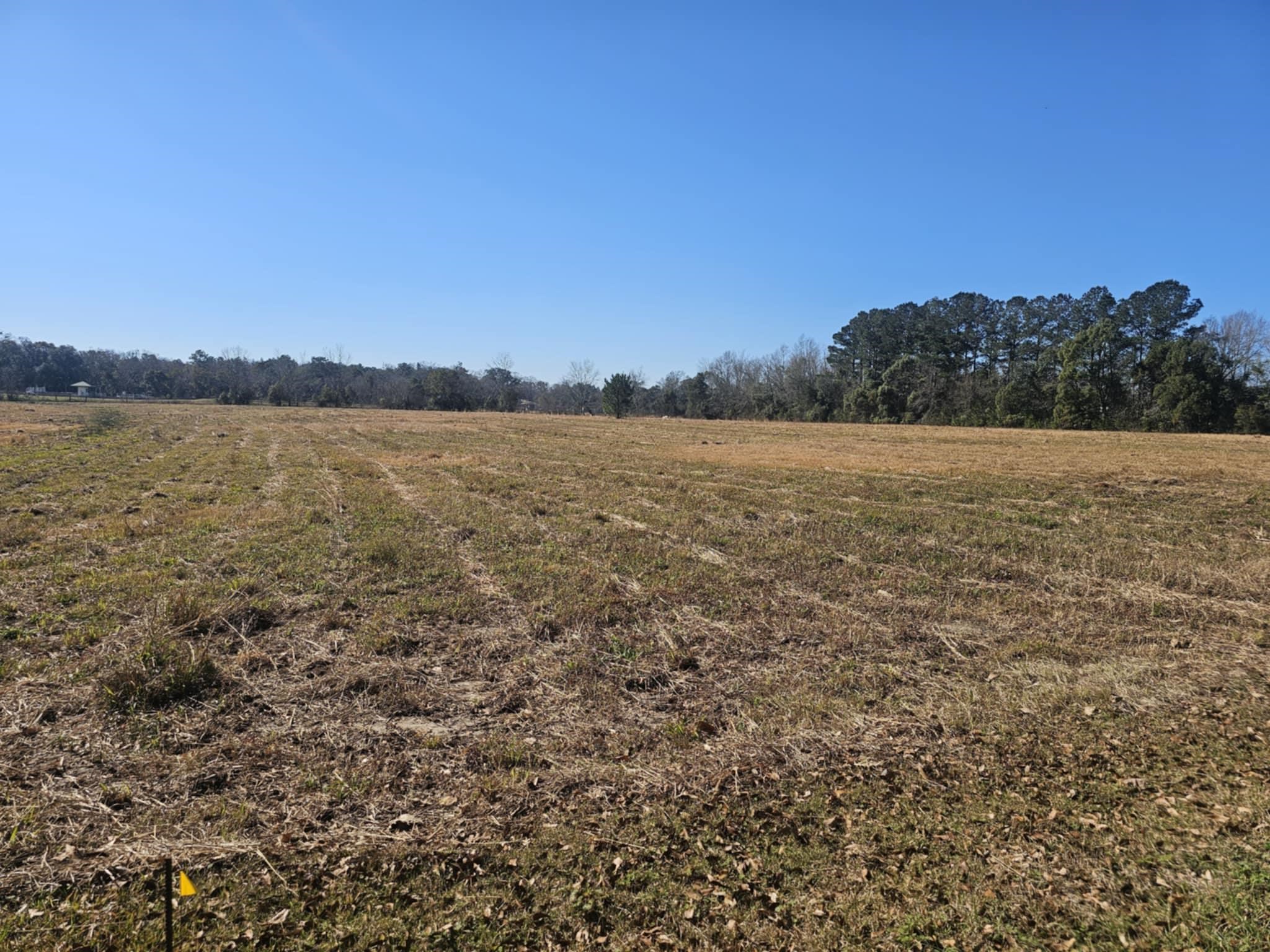 0 Black Griffin Road Loxley, AL 36551 - Photo 7 of 8 View