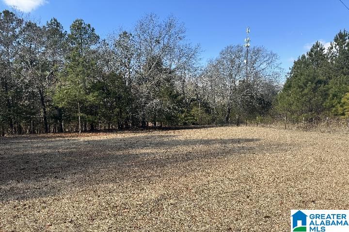 1036 Rushing Springs Road Lincoln, AL 35096 - Photo 8 of 58