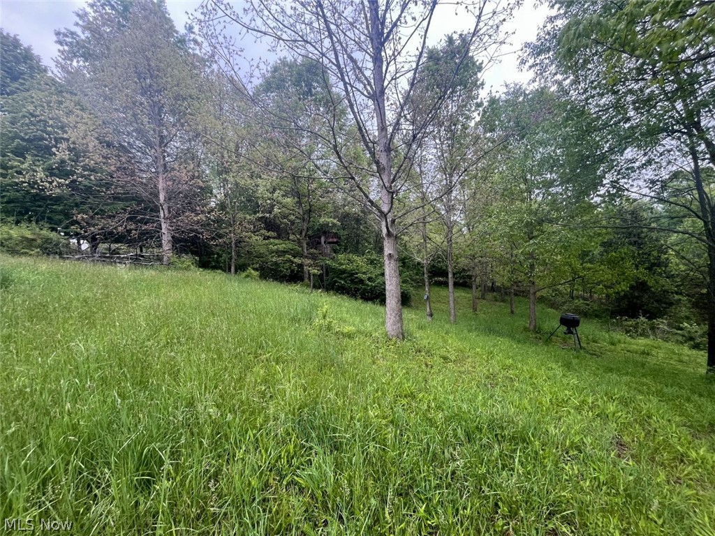 87085 Crall Road Scio, OH 43988 - Photo 7 of 17