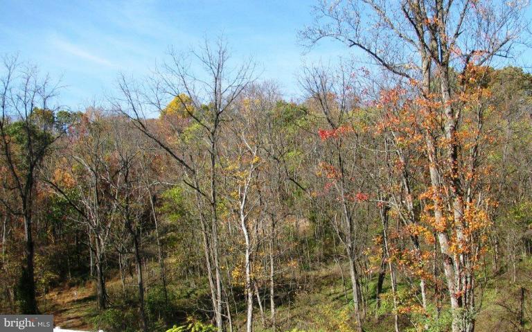 0 Poplar Rdg Trail Hedgesville, WV 25427 - Photo 4 of 6 Exterior (General)
