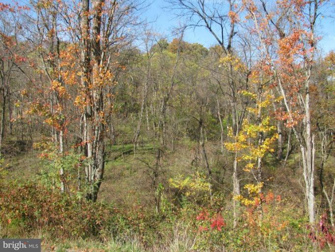 0 Poplar Rdg Trail Hedgesville, WV 25427 - Photo 6 of 6 Exterior (General)