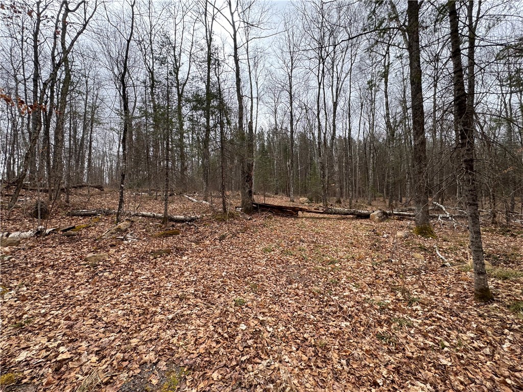 Lot 3 North Scheers Road Hayward, WI 54843 - Photo 11 of 17