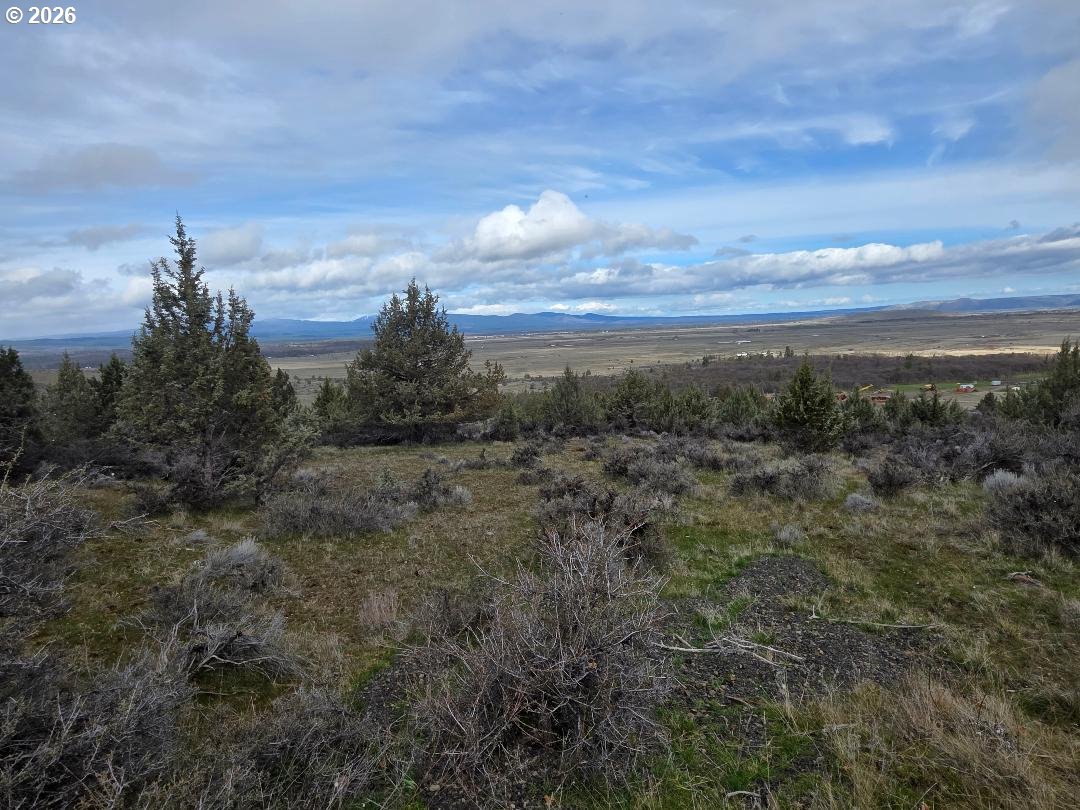 78902 Walters Road Maupin, OR 97037 - Photo 37 of 47 a view of a city with lush green forest