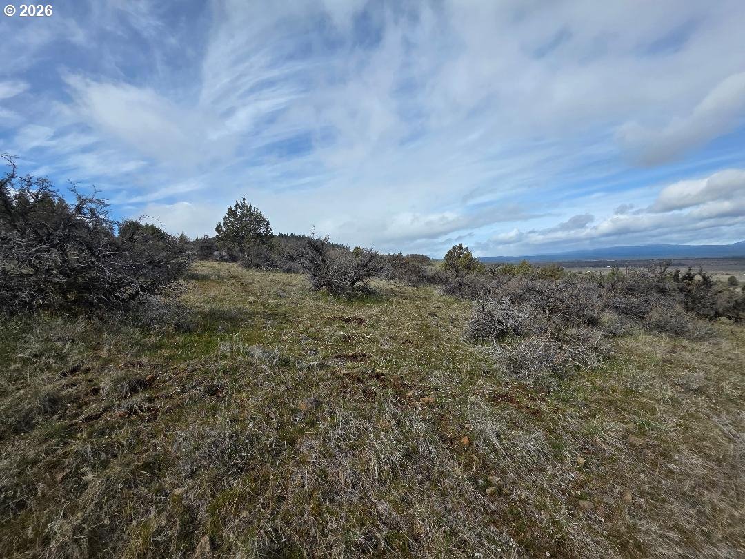 78902 Walters Road Maupin, OR 97037 - Photo 38 of 47 a view of a building