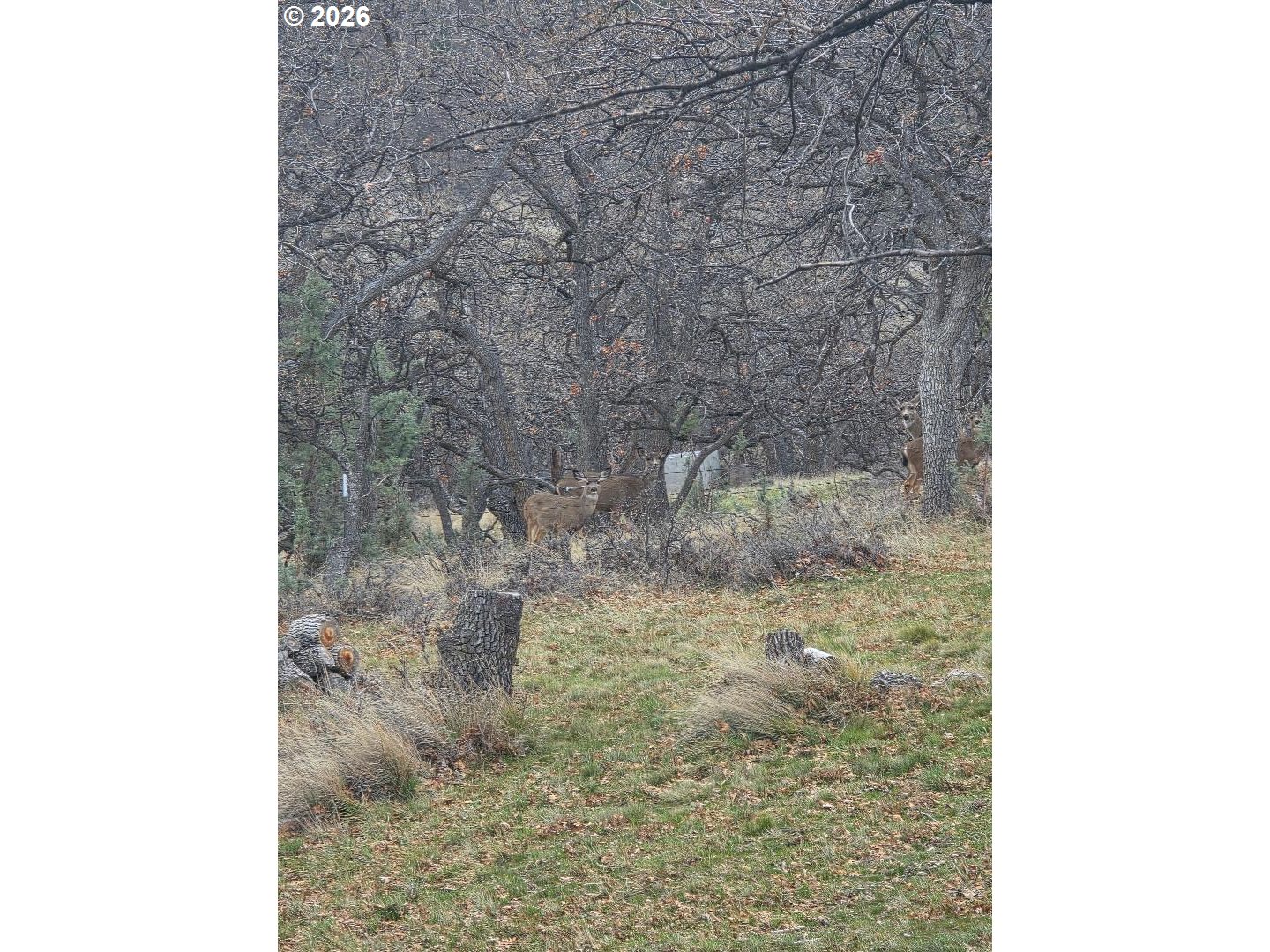 78902 Walters Road Maupin, OR 97037 - Photo 44 of 47